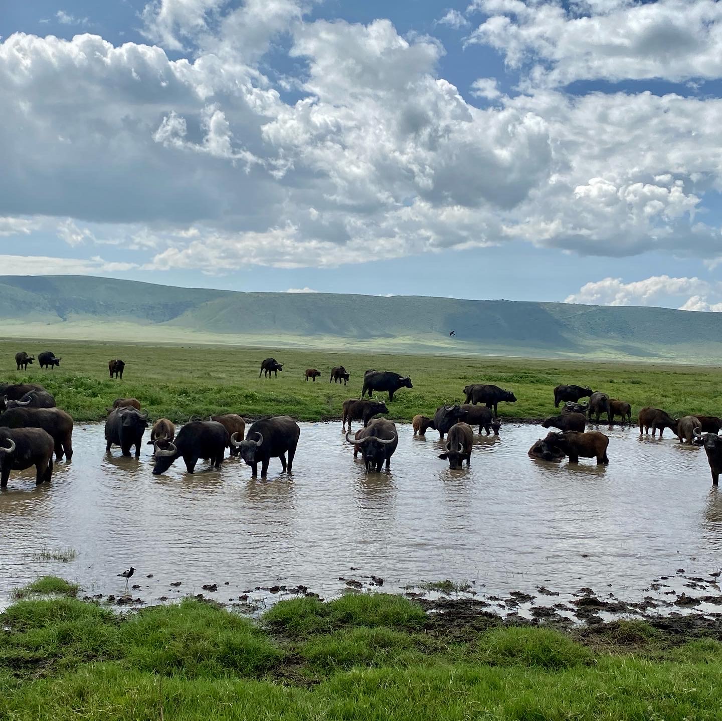 10-Day Tanzania Safari & Zanzibar Combo Tour