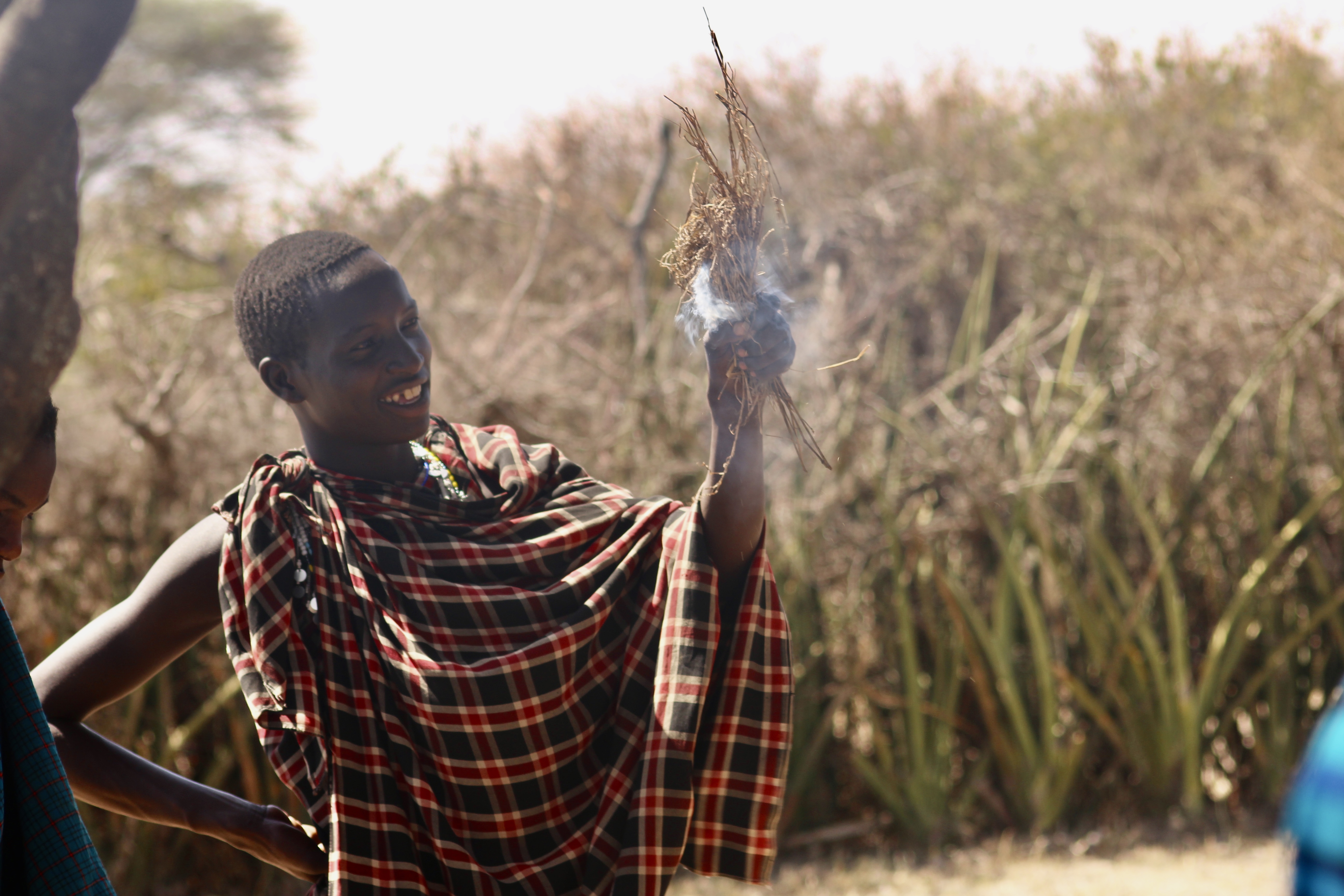 1-Day Tarangire Safari Adventure