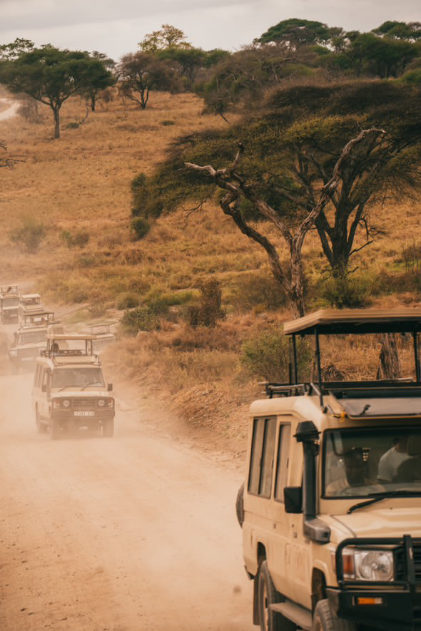 4-Days Serengeti Safari & Culture experience