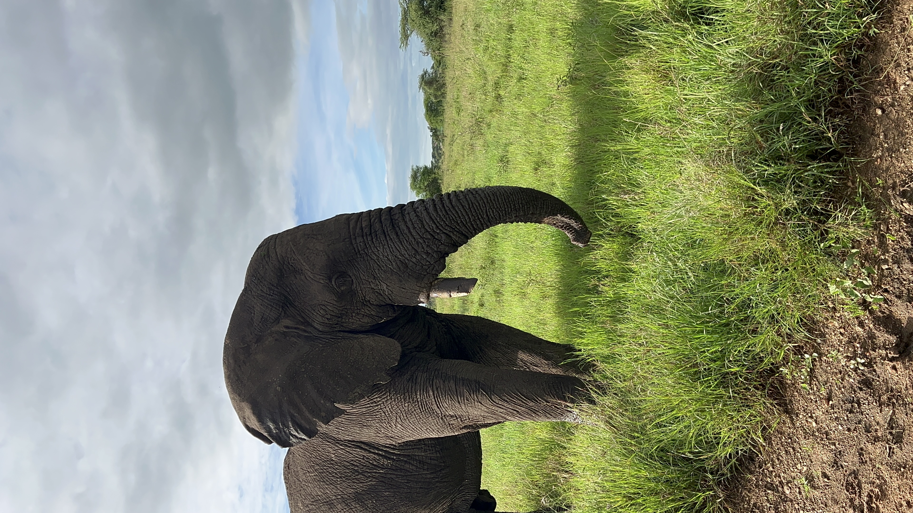 3-Day Rail to the Wild Safari, A Mikumi Escape from Dar