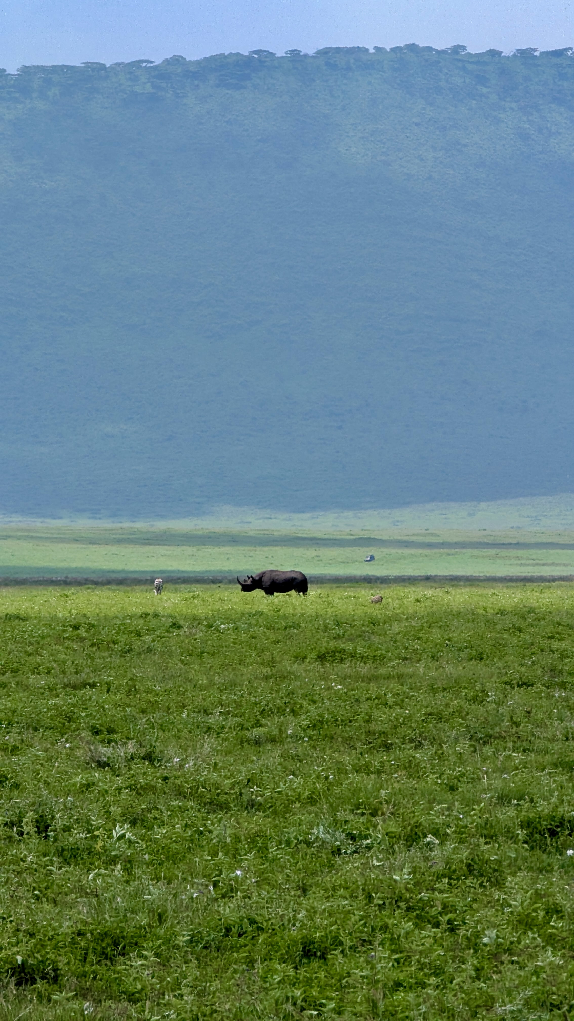 2-Day From Zanzibar to Serengeti Balloon Safari