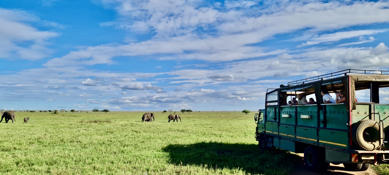 3-Day Best of Serengeti and Ngorongoro Crater, Return flight Zanzibar