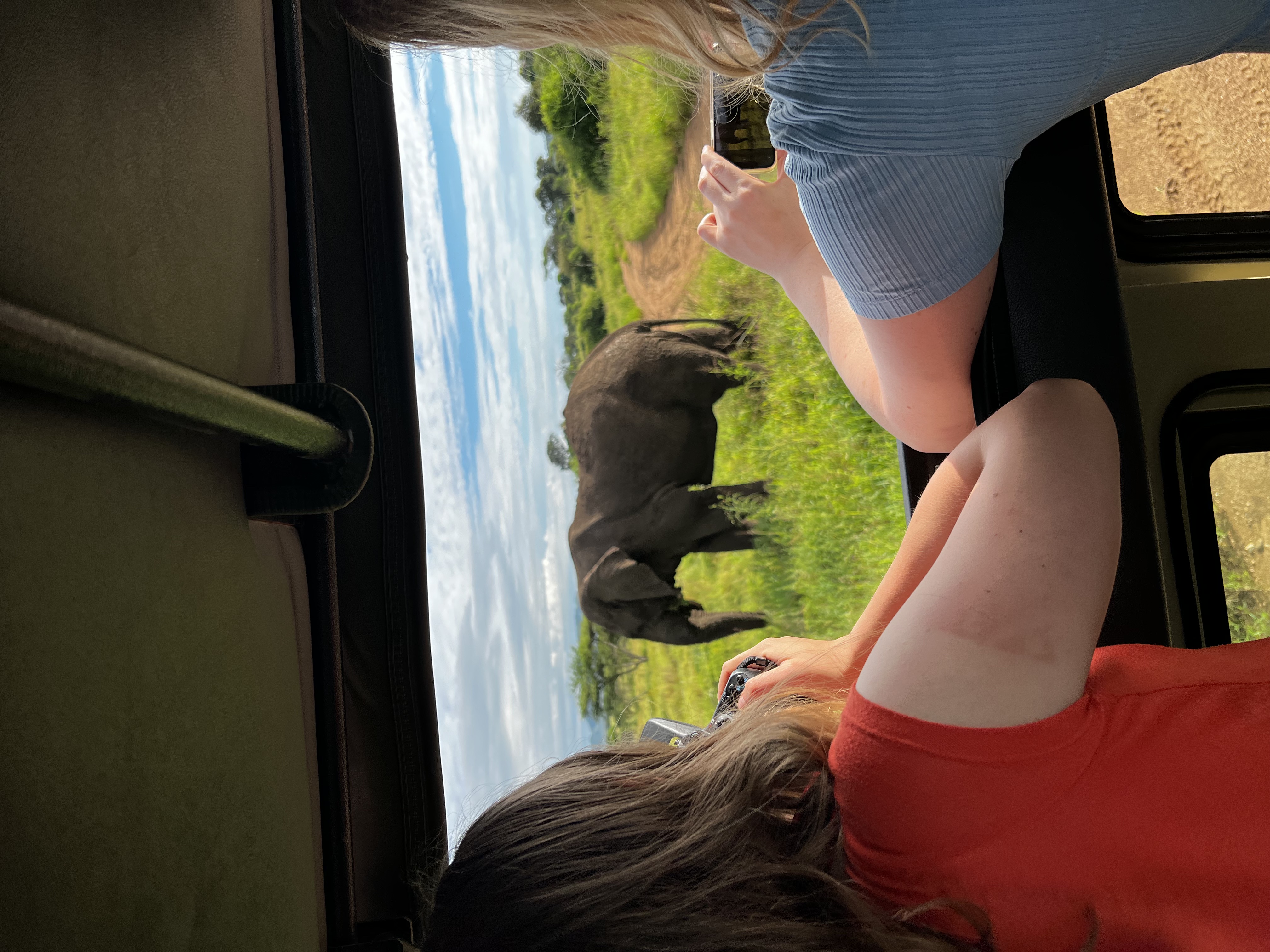 4-Day Gorilla Tracking Safari – Bwindi Uganda