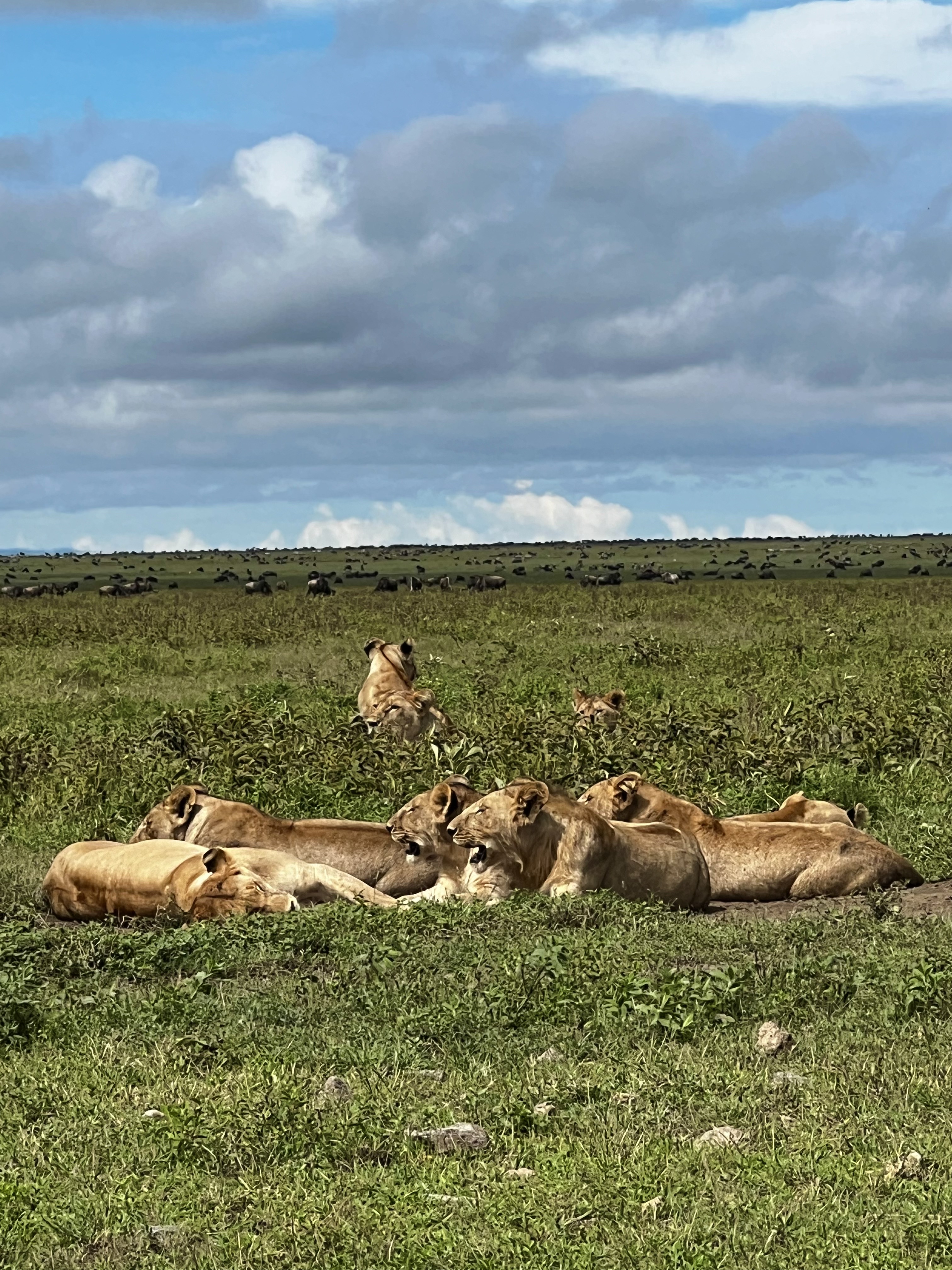 5-Day Mt. Kilimanjaro Trek – Marangu Route